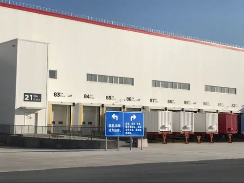 元旦临港半日行 工业奇观、最美公路与城市脉络的交响