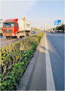 公路养护进行时 匠心焕新颜，坦途迎元旦