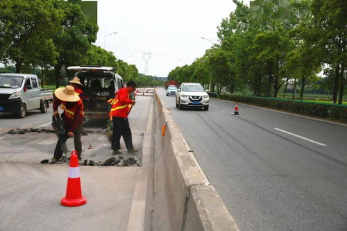 降本增效，科学先行 宁乡公路预防性养护工程全面铺开